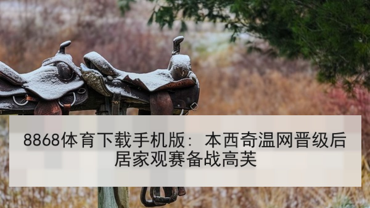 8868体育下载手机版: 本西奇温网晋级后居家观赛备战高芙